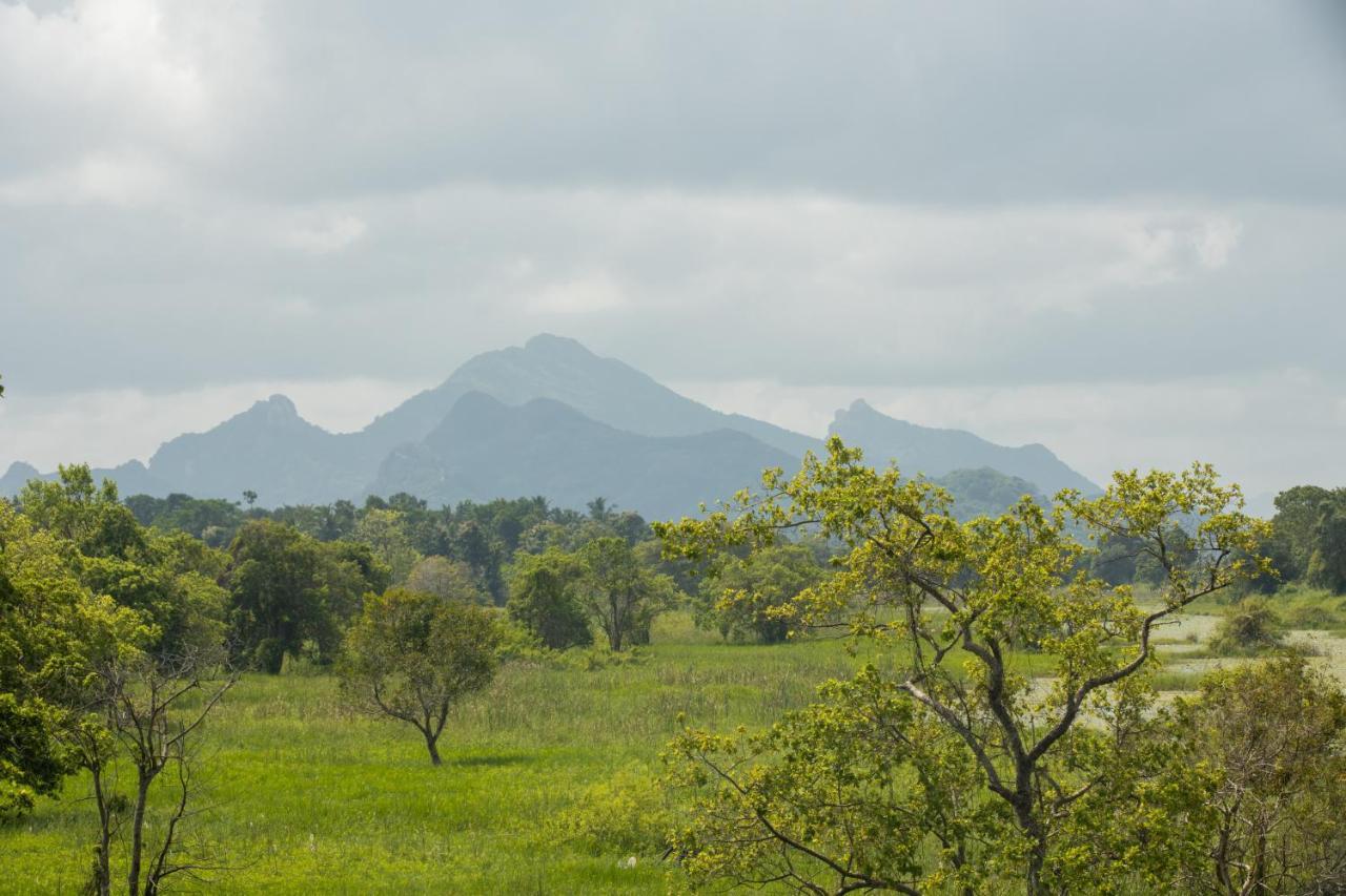 Sigiriya Wewa Addara Hotel - Hotel By The Lake ภายนอก รูปภาพ