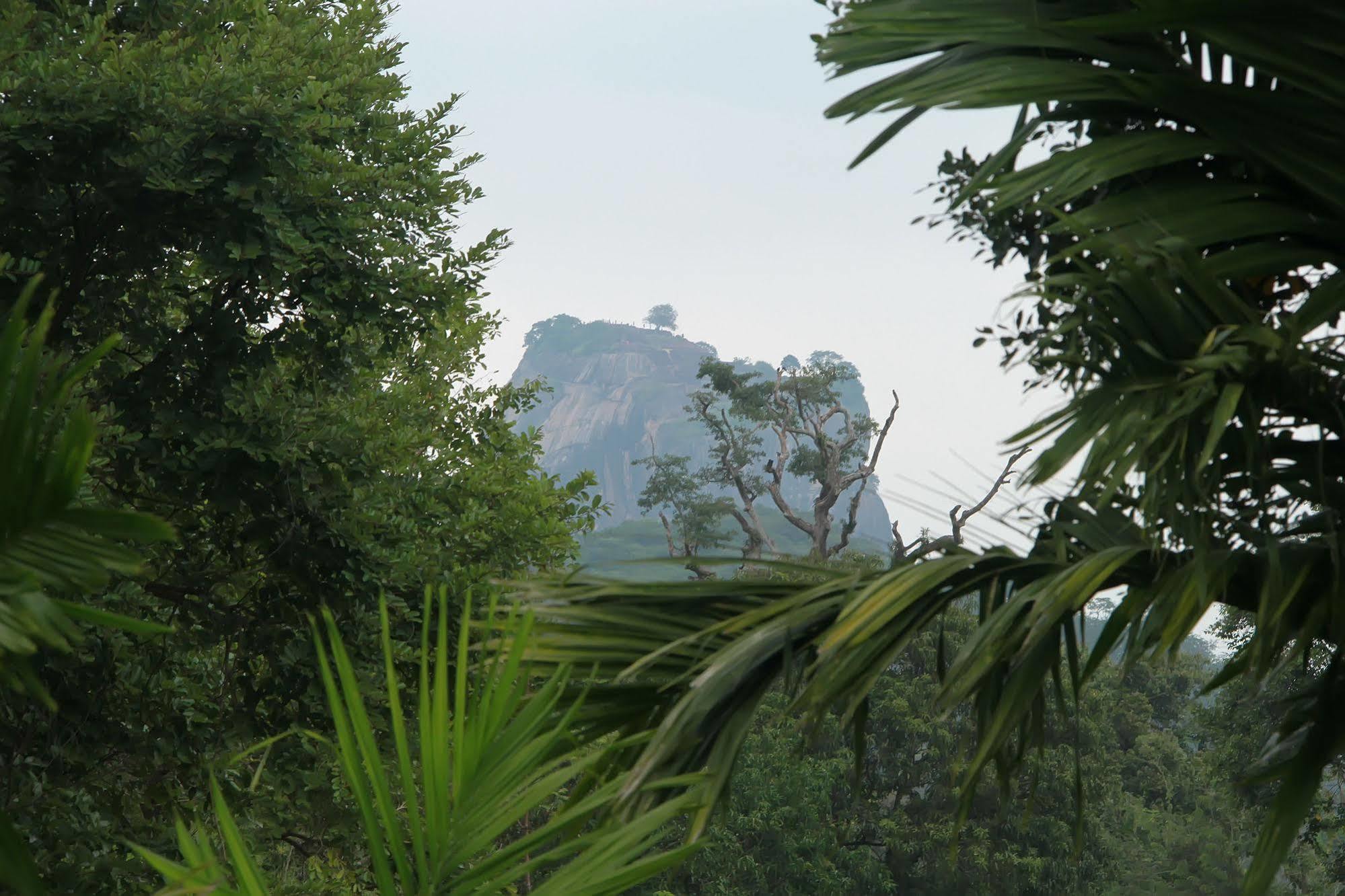 Sigiriya Wewa Addara Hotel - Hotel By The Lake ภายนอก รูปภาพ